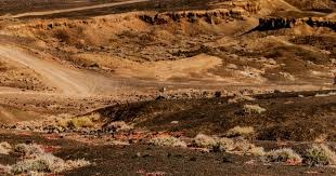 扑克里不是每把都要玩（打扑克并非每手都要参与）